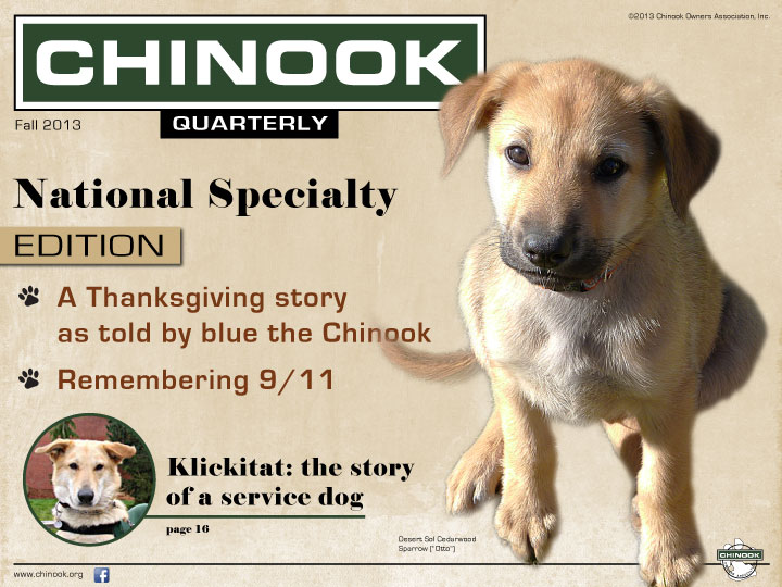 chinook dog